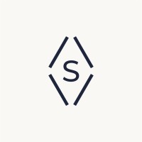 VSV Vision logo - Similar company to Logicsense Limited