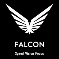 Falcon Enterprises logo - Similar company to Codebell Advertising (Pvt) Ltd