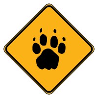 Bushlore Africa logo - Similar company to Ranchods Forensic Consultancy (Pty) Ltd