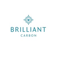 Brilliant Carbon logo - Similar company to Capri Jewelry