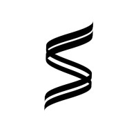 Silver Surfer Ventures logo - Similar company to Launchpod Labs