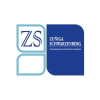 ZS ASESORÍAS PROFESIONALES ASOCIADOS LIMITADA logo - Similar company to Notion´S Second Brain