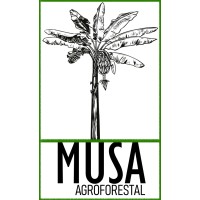 Musa Agroforestal