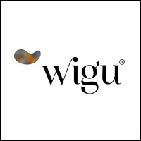 wigu logo - Similar company to Remsight