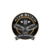 Team Matrix - Elite Hackers logo - Similar company to Securitymindpro