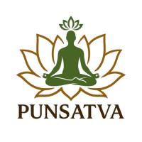 punsatva logo - Similar company to Godspeed Systems