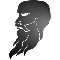 Snow Vikings Studio logo - Similar company to Zagros As