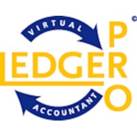 Ledger Pro logo - Similar company to Onesourceremote, Llc.