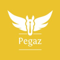Pegaz Recruitment - Multilingual Recruitment Specialists logo - Similar company to Pegaz Solutions