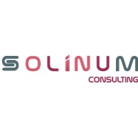 Solinum Consulting logo - Similar company to Algoptis