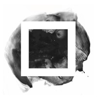 The Divergent Fund logo - Similar company to Coparenter