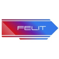 Felit Dış Ticaret ve Lojistik logo - Similar company to Sef Global Logistics