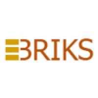 EBriks Infotech Pvt. Ltd. logo - Similar company to Oye Order