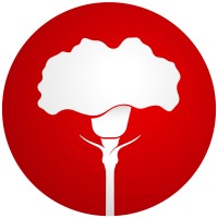 SB Talee logo - Similar company to Geoflora