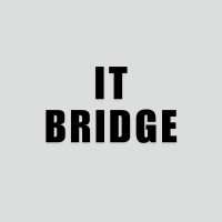 IT Bridge logo - Similar company to Itbridge Consultants Pvt. Ltd.