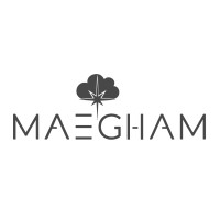Maegham Info Tech Pvt Ltd logo - Similar company to Spica Technologies