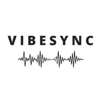 Vibesync logo - Similar company to Insyble Tech
