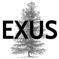 EXUS Limited logo - Similar company to Leon Uniform Company