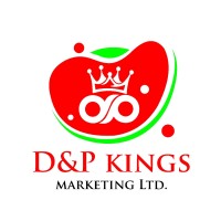 Kings Marketing Limited logo - Similar company to Digital Venture Hq
