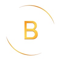 Bline logo - Similar company to Bline Llc