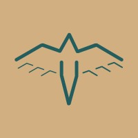Seagull logo - Similar company to Symmtec
