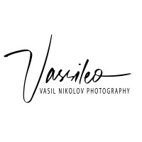 Vassileo Ltd. logo - Similar company to Vassileo