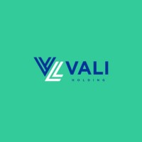 Vali logo - Similar company to Mega Disconildo