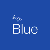 Blue logo - Similar company to Ryan Meetup