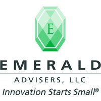 Emerald Advisers, LLC logo - Similar company to Donatex