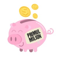 Primul.Milion logo - Similar company to Gewoonai