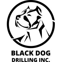 Black Dog Drilling Inc. logo - Similar company to Hashdips Mining Network