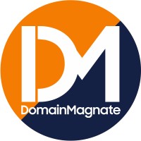 Domain Magnate LLC logo - Similar company to All Pro Solutions