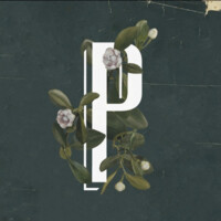 Parque Bar Botanico logo - Similar company to Small Riders