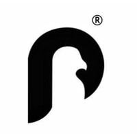 Pason-Digital Marketing logo - Similar company to Bridges Video Production And Creative Services
