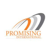 Promising International Trading Co DMCC logo - Similar company to Black Soil