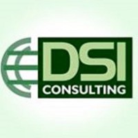 DSI-Consulting, Inc. logo - Similar company to Sxi