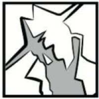 Zelvin Security logo - Similar company to Advanced Network Consulting Solutions