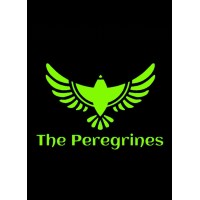 Peregrines Innovation logo - Similar company to Network Computer