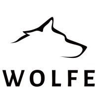 Wolfe Consulting logo - Similar company to Clarity Gold Corp.