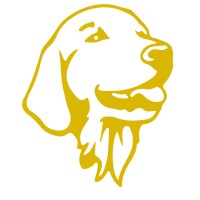 Lily's Voice logo - Similar company to Vegssup