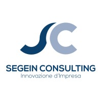 Segein Consulting Srl logo - Similar company to Ld Consulting