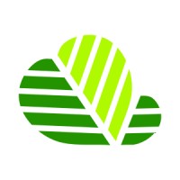 Alnusoft logo - Similar company to Web Scraping Solutions