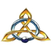 CUSTOM EC logo - Similar company to Asesor
