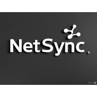 NetSync Telecom logo - Similar company to Gajoy