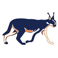 Dream Graphics logo - Similar company to Long Neck