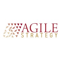 Agile Strategy logo - Similar company to Maxpro Ventures