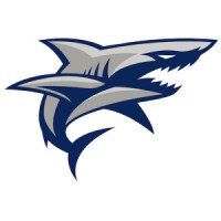 SHARKS VALENCE logo - Similar company to Blees Lentilly