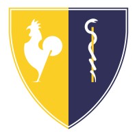 Gruppo Bonvicini logo - Similar company to Istoria Wellness