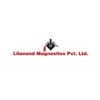 LILANAND MAGNESITES PRIVATE LIMITED logo - Similar company to Professional Accountants