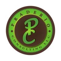 Praderio Consulting LLC logo - Similar company to Simplified It
